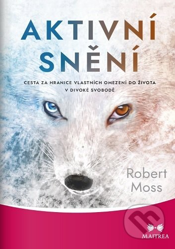 Aktivní snění-Robert Moss