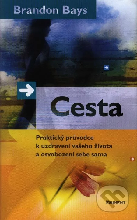 Cesta-Brandon Bays