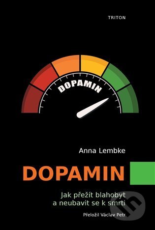 Dopamin-Anna Lembke