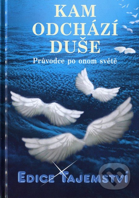 Kam odchází duše?-Gabriel Looser