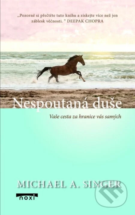 Nespoutaná duše-Michael A. Singer