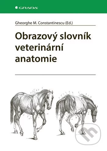 Obrazový slovník veterinární anatomie-Gheorghe M. Constantinescu