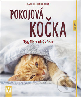 Pokojová kočka-Gabriele Linke-Grün