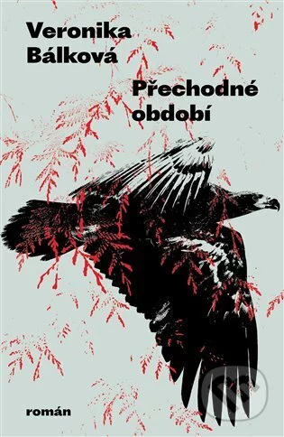Přechodné období-Veronika Bálková