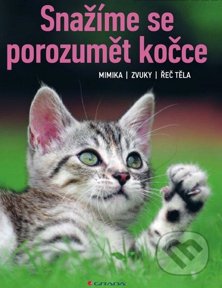 Snažíme se porozumět kočce-Widmann Brigitte Rauth