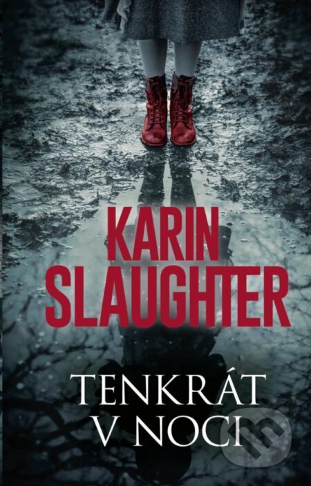 Tenkrát v noci-Karin Slaughter