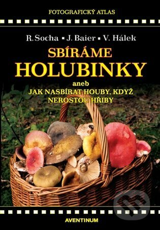 Sbíráme holubinky-Jiří Baier