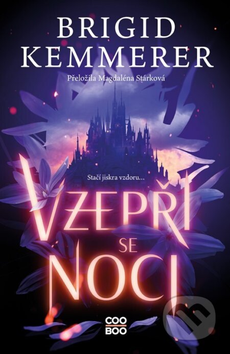 Vzepři se noci-Brigid Kemmerer