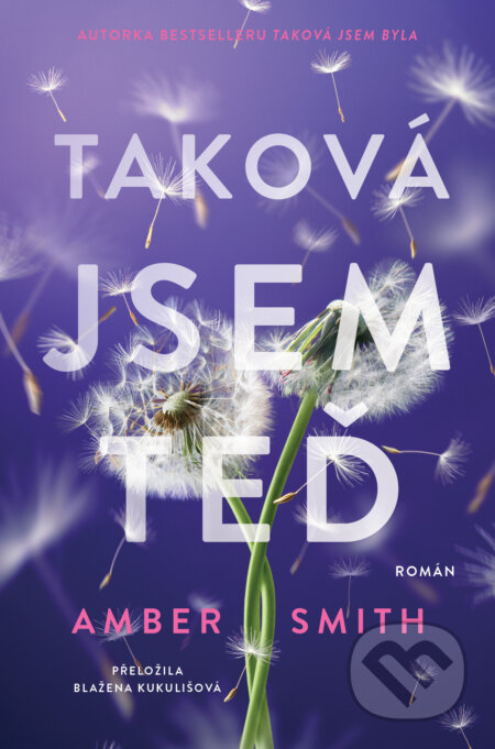Taková jsem teď-Amber Smith