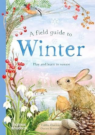 A Field Guide to Winter-Gabby Dawnay