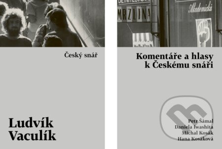 Český snář s komentářovým výkladem-Ludvík Vaculík