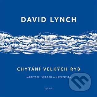 Chytání velkých ryb-David Lynch