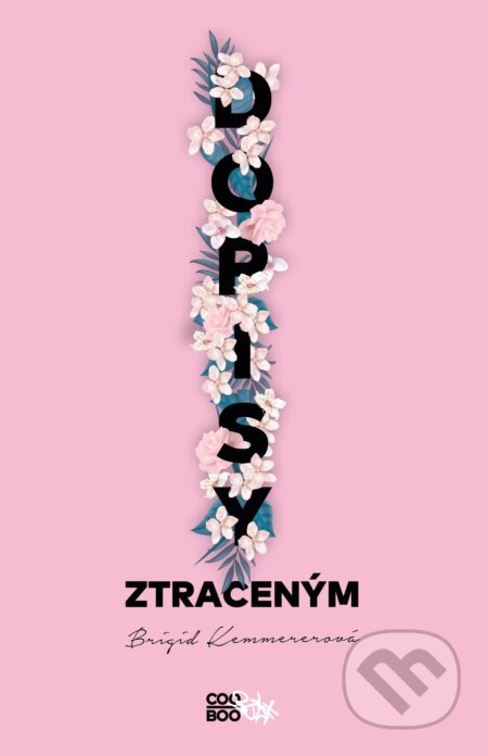 Dopisy ztraceným-Brigid Kemmerer