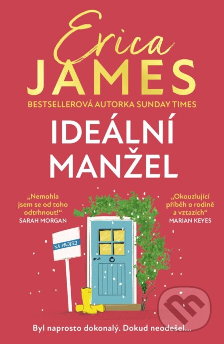Ideální manžel-Erica James