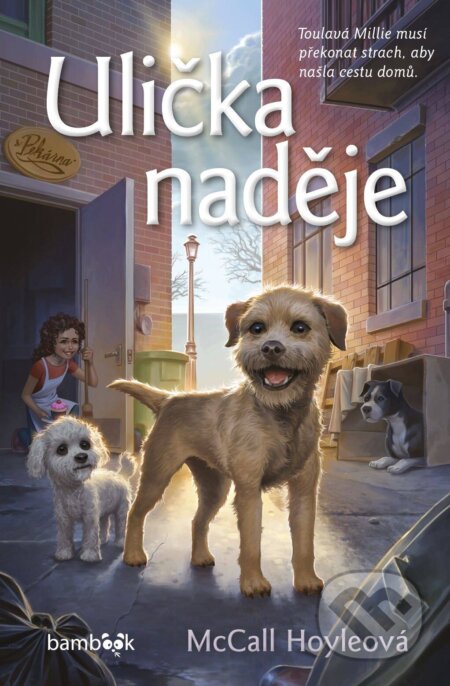 Ulička naděje-McCall Hoyleová