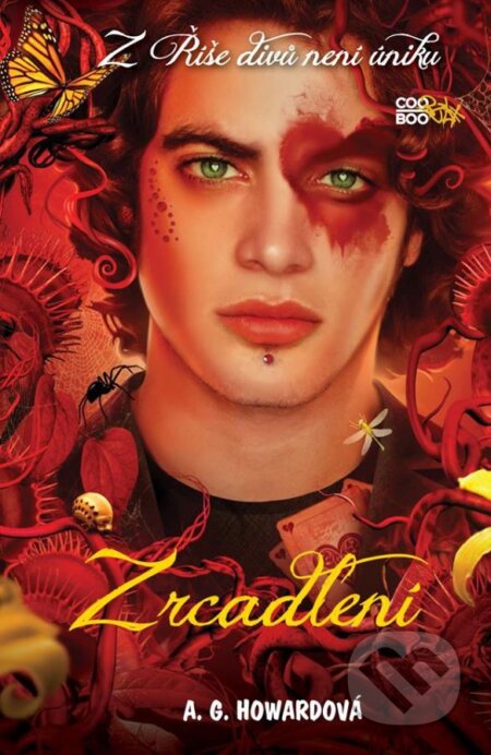 Zrcadlení-Anita Grace Howard