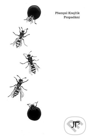 Propadání-Přemysl Krejčík