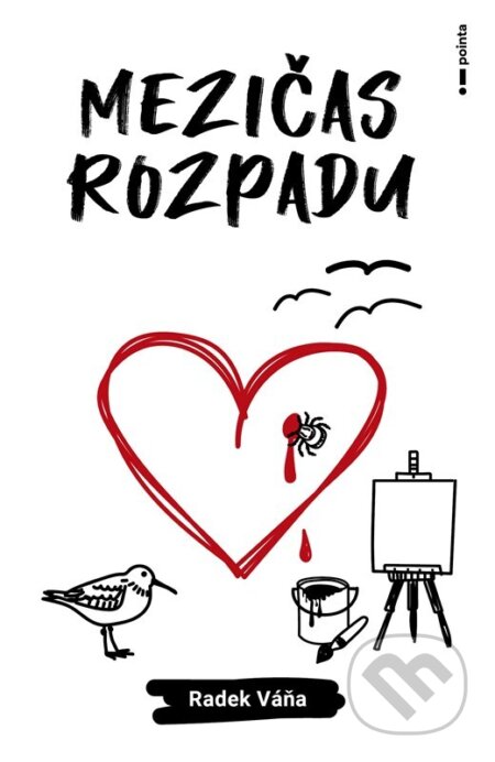 Mezičas rozpadu-Radek Váňa
