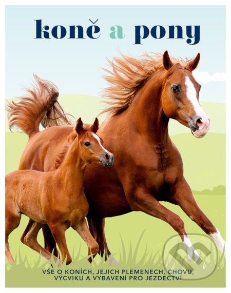 Koně a pony-Caroline Stamps