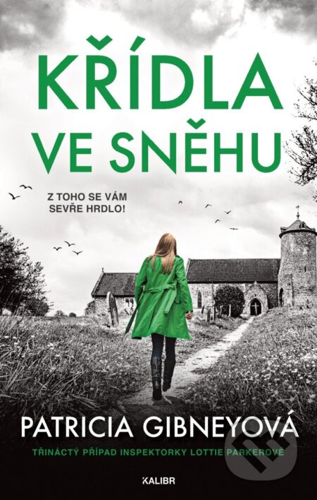 Křídla ve sněhu-Patricia Gibney