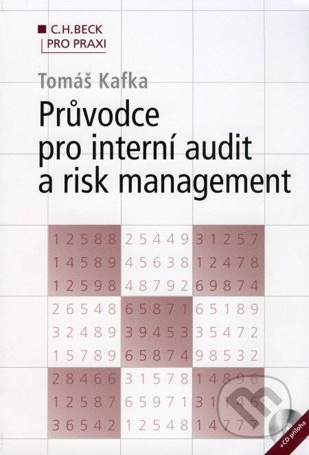 Průvodce pro interní audit a risk management-Tomáš Kafka