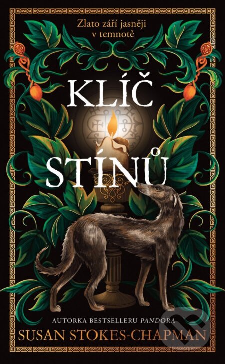 Klíč stínů-Susan Stokes-Chapman