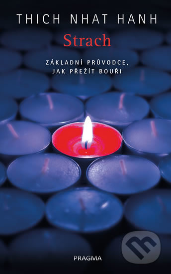 Strach. Základní průvodce