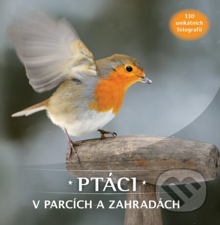 Ptáci v parcích a zahradách-