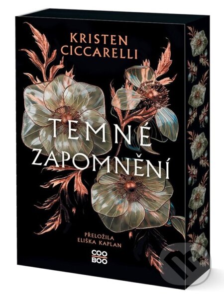 Temné zapomnění-Kristen Ciccarelli