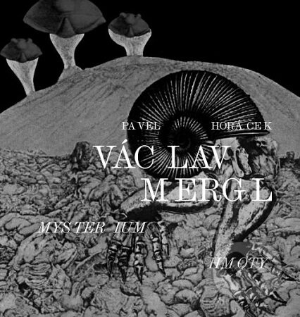 Václav Mergl – Mysterium hmoty-Pavel Horáček