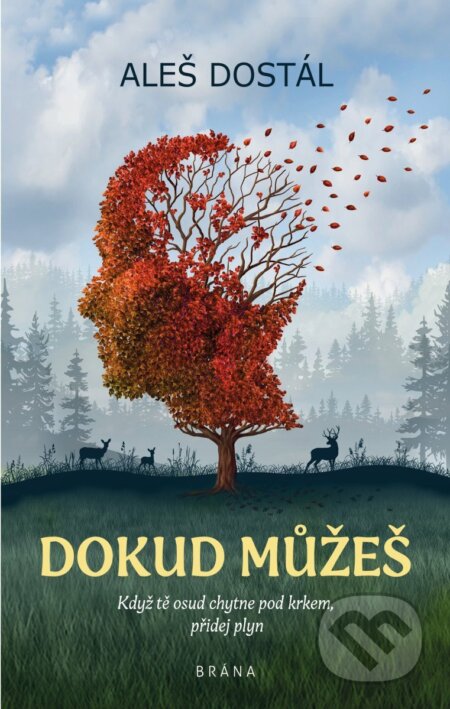 Dokud můžeš-Aleš Dostál
