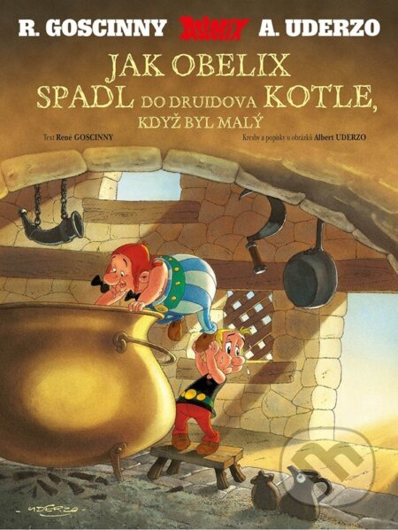 Asterix: Jak Obelix spadl do druidova kotle