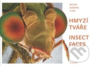 Hmyzí tváře. Insect faces-