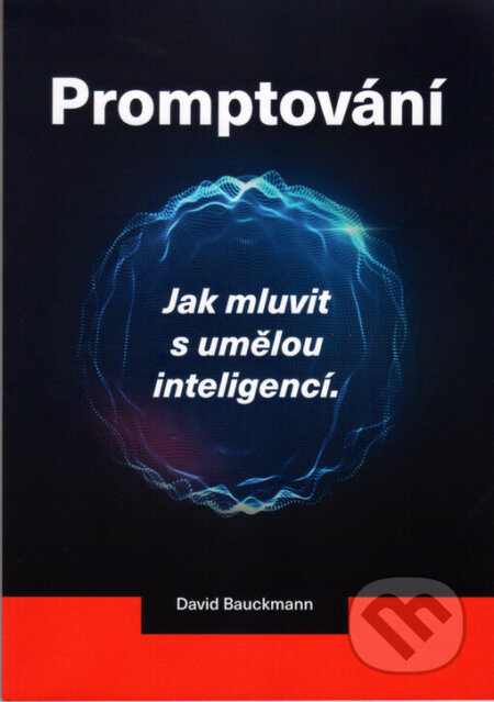Promptování : jak mluvit s umělou inteligencí-David Bauckmann