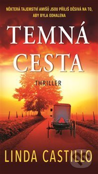Temná cesta-Linda Castillo