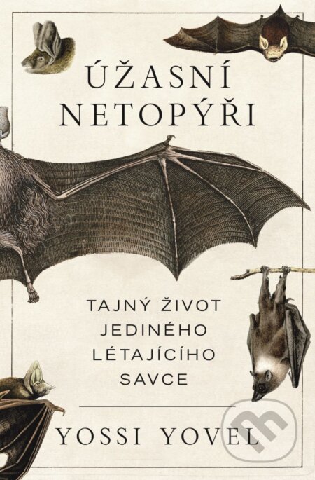 Úžasní netopýři-Yosef Yovel