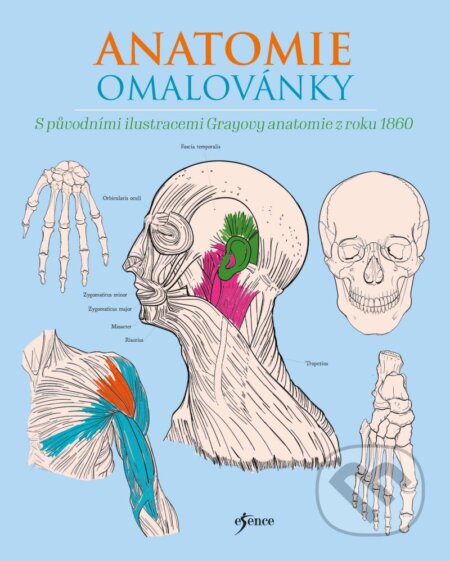 Anatomie omalovánky-Henry Carter a Henry Gray
