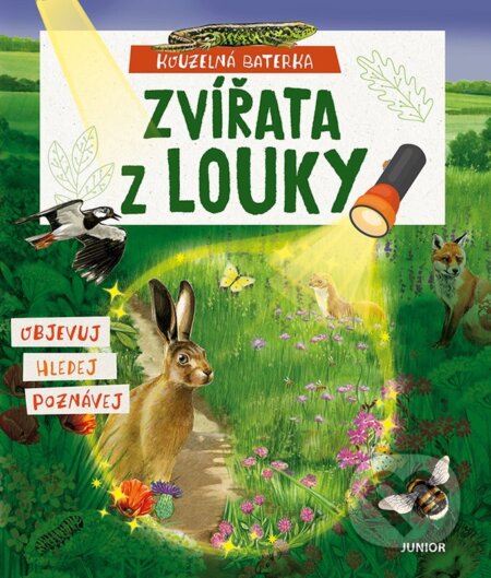 Kouzelná baterka: Zvířata z louky-Elina Roth