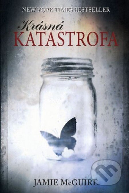 Krásná katastrofa-Jamie McGuire