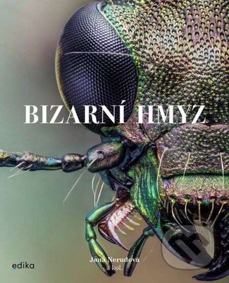 Bizarní hmyz-Miroslav Ambroz a Procházka Jiří