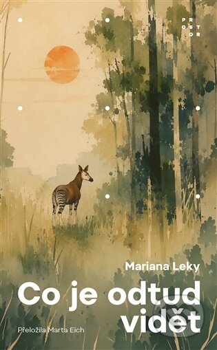 Co je odtud vidět-Mariana Leky