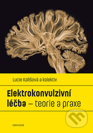 Elektrokonvulzivní léčba – teorie a praxe-Lucie Kališová