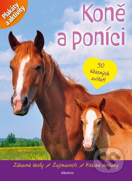 Koně a poníci: plakáty a aktivity-Autorský kolektiv